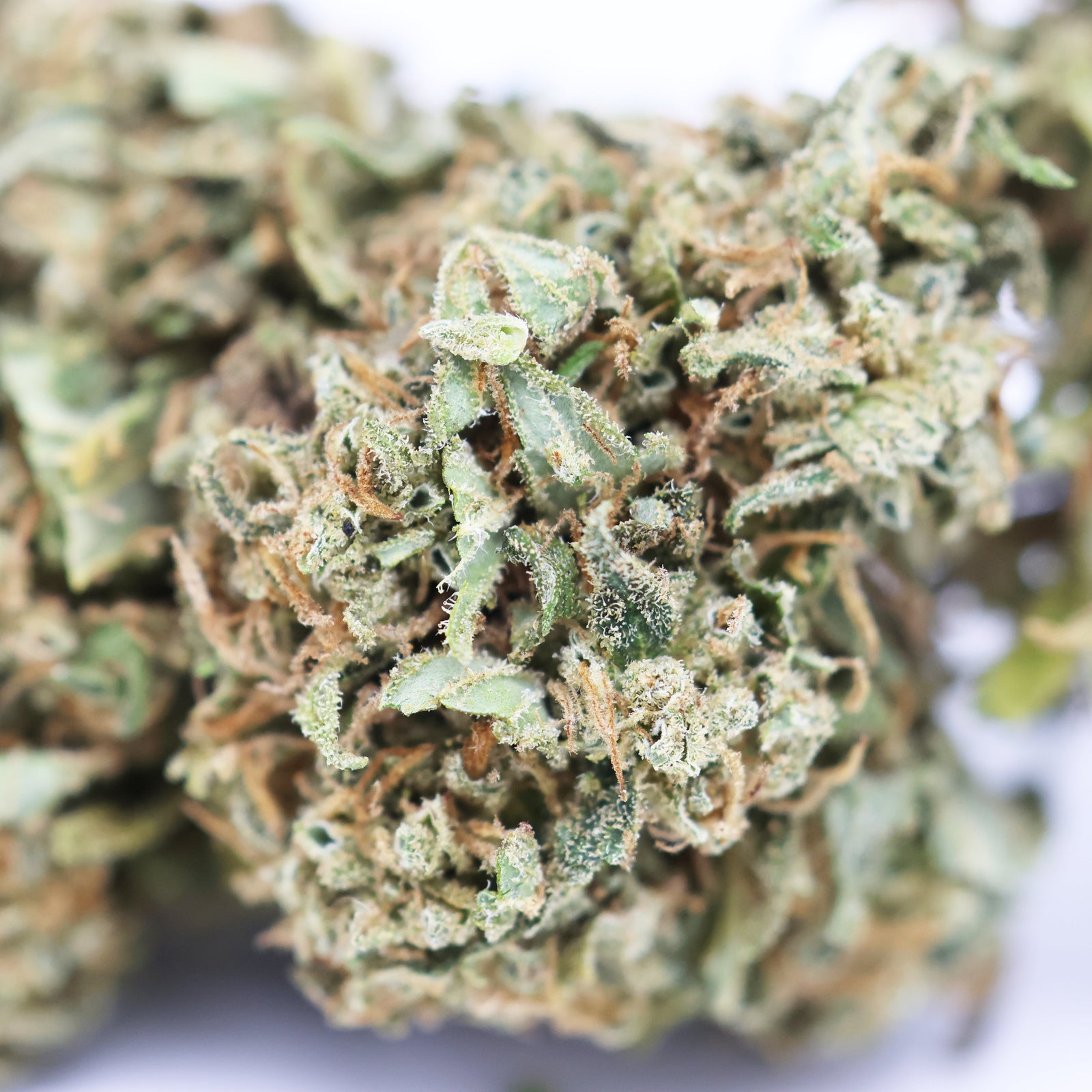 Zoom Fleur CBD Mango en Vrac - Green House