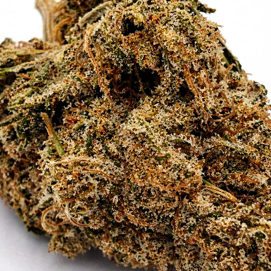 Zoom Fleur CBD Pineapple Haze en Vrac – Indoor
