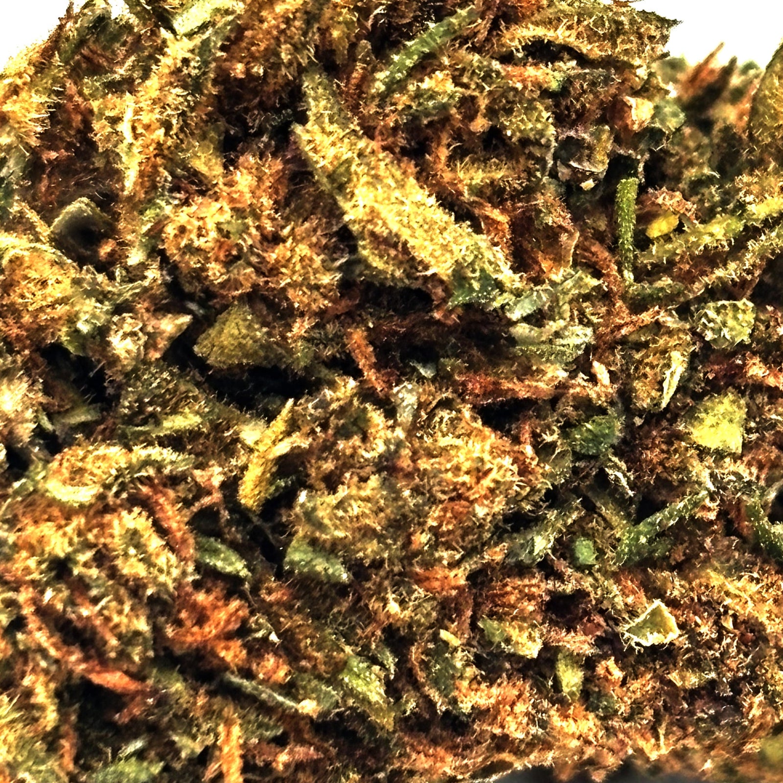 Zoom Fleur CBD Pink Panther en Vrac - Green House - Mon Petit Herbier