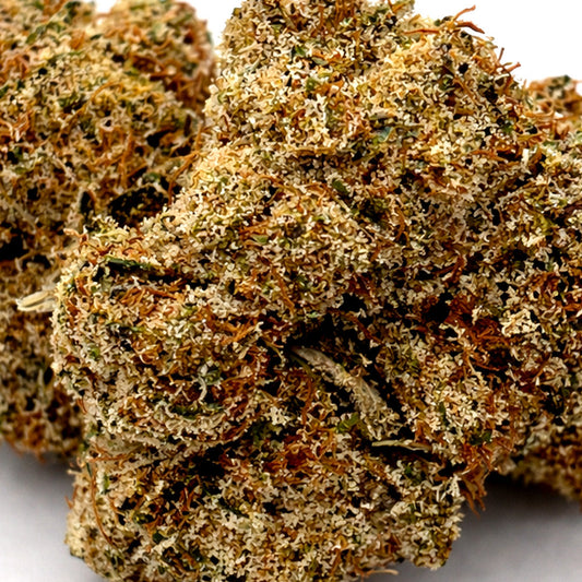 Zoom Fleur CBD Tangie Kush en Vrac – Indoor