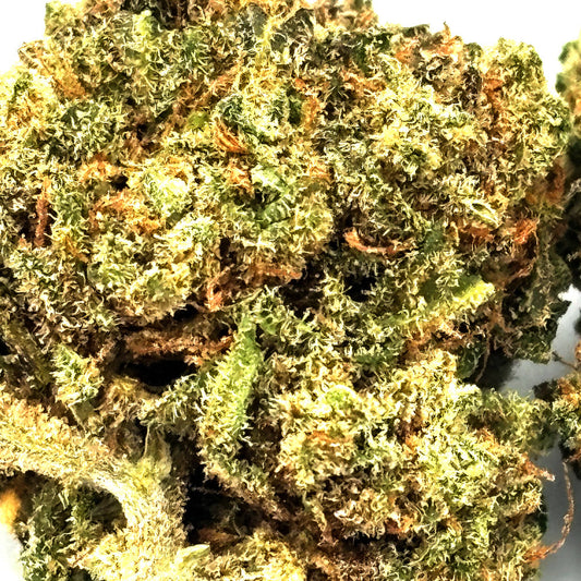 Zoom Fleur Orange Bud - Mon Petit Herbier