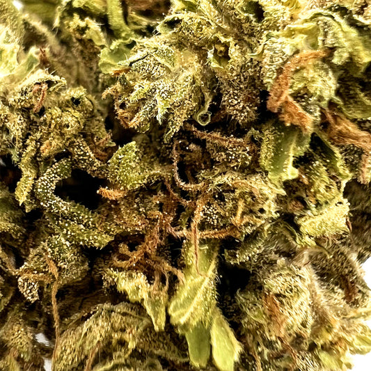 Zoom Fleur White CBG en Vrac - Outdoor - Mon Petit Herbier