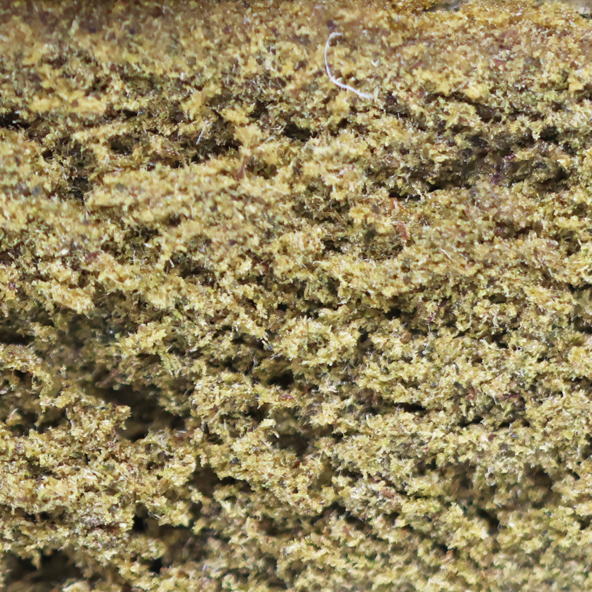 Zoom Résine CBD Honey Hash Gaz - Mon Petit Herbier