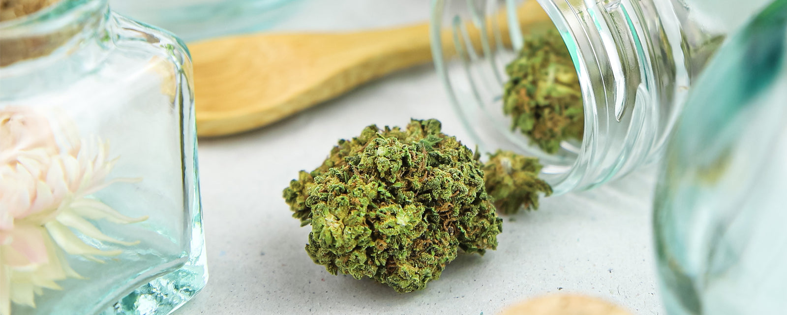 Slider fleurs CBD - Mon Petit Herbier